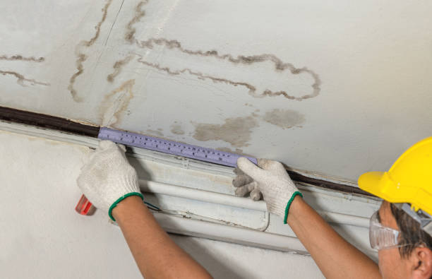 Reliable Burst Pipe Cleanup contractor in Elmwood, WI by Water Damage Irwin